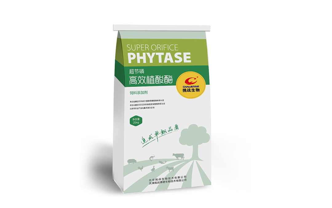 挑戰(zhàn)集團(tuán)